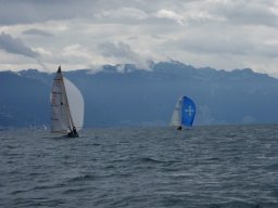 36e Coupe d&#039;Avant et d&#039;Argent 2009